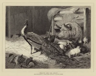 Die Schöne und das Biest